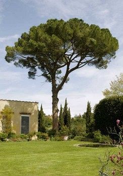 Villa Malavolta Scandicci Exterior foto